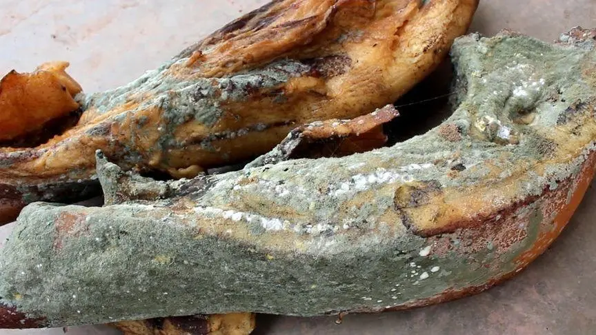 發(fā)霉生蟲(chóng)肉制品